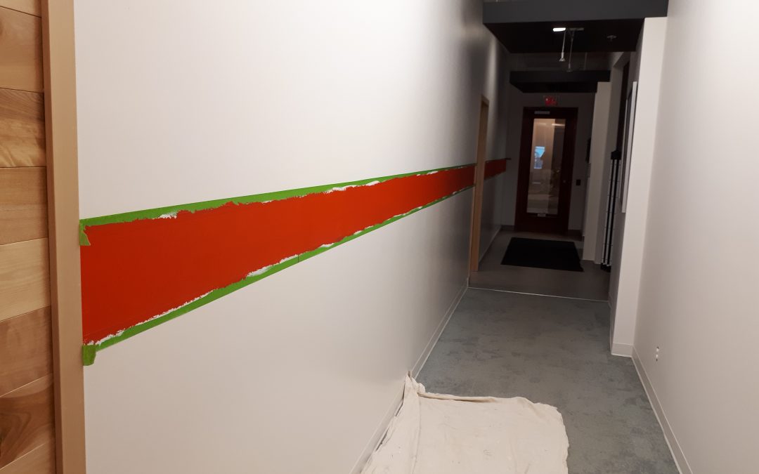 Benjamin Moore vs Dulux vs Sico : Comparatif complet 2026